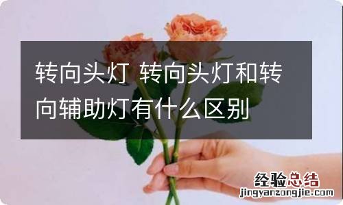 转向头灯 转向头灯和转向辅助灯有什么区别