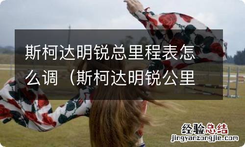 斯柯达明锐公里表调整 斯柯达明锐总里程表怎么调