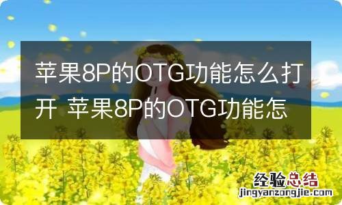 苹果8P的OTG功能怎么打开 苹果8P的OTG功能怎样打开