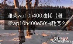 潍柴wp10h400e50油耗怎么样 潍柴wp10h400油耗