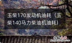 玉柴140马力柴油机油耗 玉柴170发动机油耗