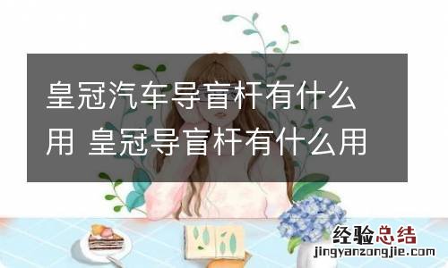 皇冠汽车导盲杆有什么用 皇冠导盲杆有什么用?