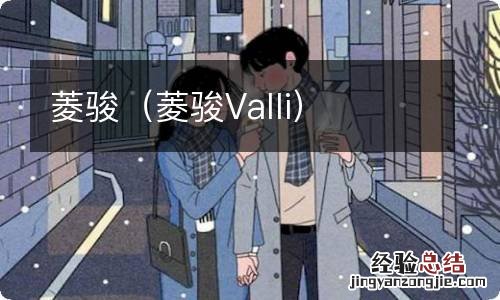 菱骏Valli 菱骏