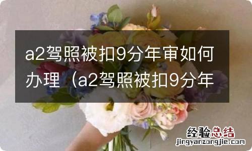 a2驾照被扣9分年审如何办理 a2驾照被扣9分年审如何办理