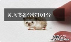 黄旭书名分数101分