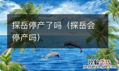 探岳会停产吗 探岳停产了吗