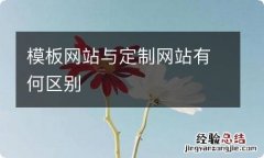 模板网站与定制网站有何区别