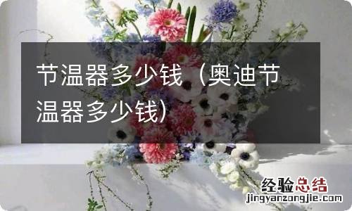 奥迪节温器多少钱 节温器多少钱