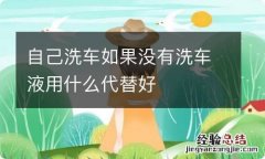 自己洗车如果没有洗车液用什么代替好