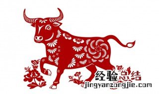 什么生肖旺牛的女人 什么生肖比较旺牛