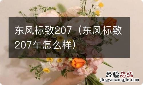 东风标致207车怎么样 东风标致207