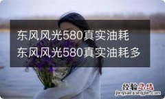 东风风光580真实油耗 东风风光580真实油耗多少