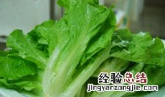 生菜是莴苣嘛 生菜和莴苣有什么区别