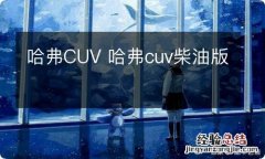 哈弗CUV 哈弗cuv柴油版