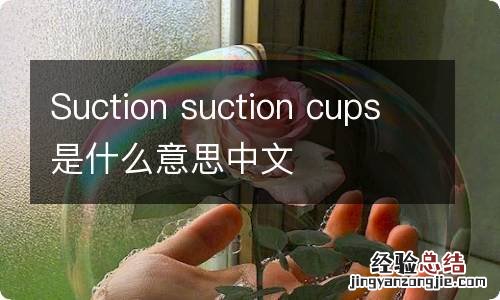 Suction suction cups是什么意思中文