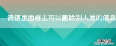 微信里面群主可以删除别人发的信息吗