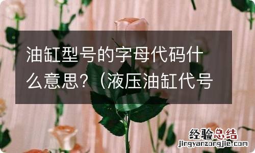 液压油缸代号 油缸型号的字母代码什么意思?