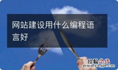 网站建设用什么编程语言好