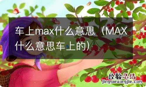 MAX什么意思车上的 车上max什么意思