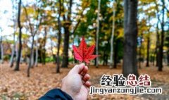 介绍树叶书签制作方法英语作文 介绍树叶书签制作方法