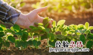 氢氧化钙在农业上的用途的化学式 氢氧化钙在农业上的用途