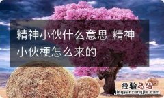 精神小伙什么意思 精神小伙梗怎么来的