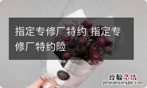 指定专修厂特约 指定专修厂特约险