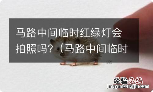 马路中间临时红绿灯会拍照吗怎么处罚 马路中间临时红绿灯会拍照吗?