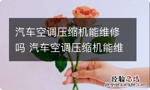 汽车空调压缩机能维修吗 汽车空调压缩机能维修吗视频