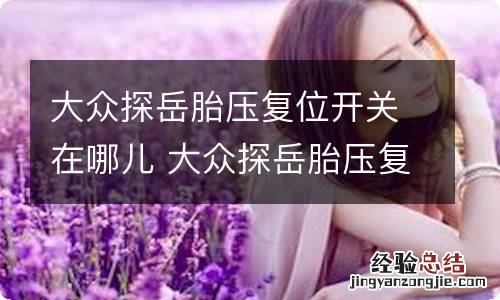 大众探岳胎压复位开关在哪儿 大众探岳胎压复位开关在哪儿图片