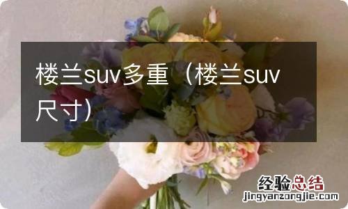 楼兰suv尺寸 楼兰suv多重