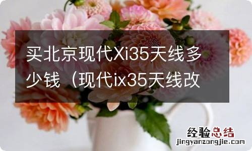 现代ix35天线改装图片 买北京现代Xi35天线多少钱