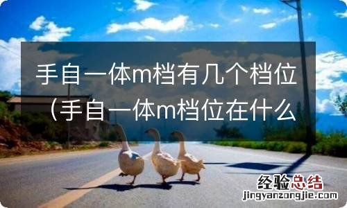 手自一体m档位在什么情况下用 手自一体m档有几个档位