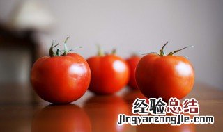 西红柿种植的方法及注意事项 西红柿种植技术是什么