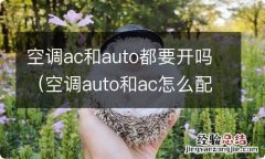 空调auto和ac怎么配合 空调ac和auto都要开吗