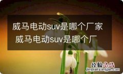 威马电动suv是哪个厂家 威马电动suv是哪个厂家生产的