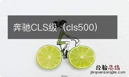 cls500 奔驰CLS级