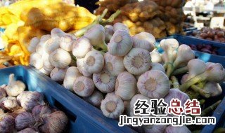 蒜怎样储存才不发芽 蒜头保鲜不发芽方法分享