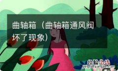 曲轴箱通风阀坏了现象 曲轴箱