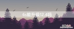 6s能升级12.4吗 6s还能升级到12.4.1吗