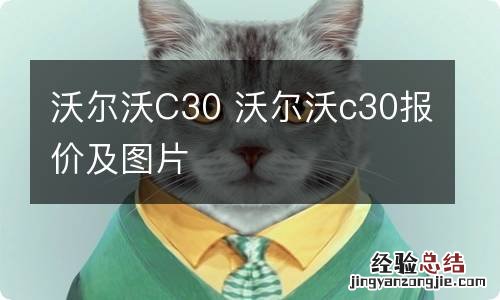 沃尔沃C30 沃尔沃c30报价及图片