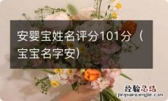 宝宝名字安 安婴宝姓名评分101分