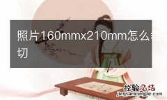 照片160mmx210mm怎么裁切