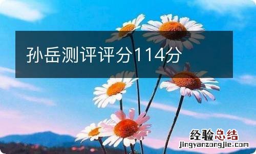 孙岳测评评分114分