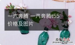 一汽奔腾 一汽奔腾t55价格及图片