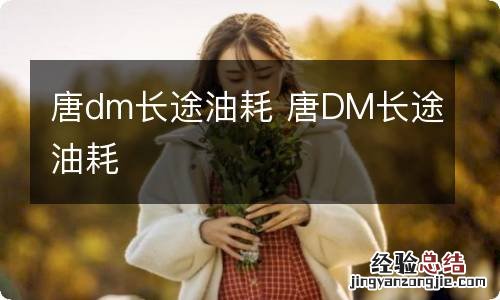 唐dm长途油耗 唐DM长途油耗