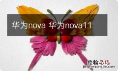 华为nova 华为nova11