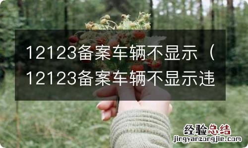 12123备案车辆不显示违章 12123备案车辆不显示