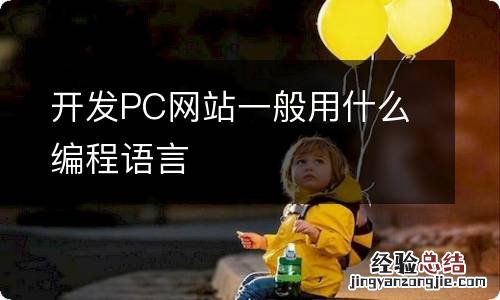 开发PC网站一般用什么编程语言