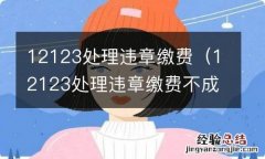 12123处理违章缴费不成功 12123处理违章缴费